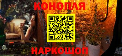 спиды Аргун