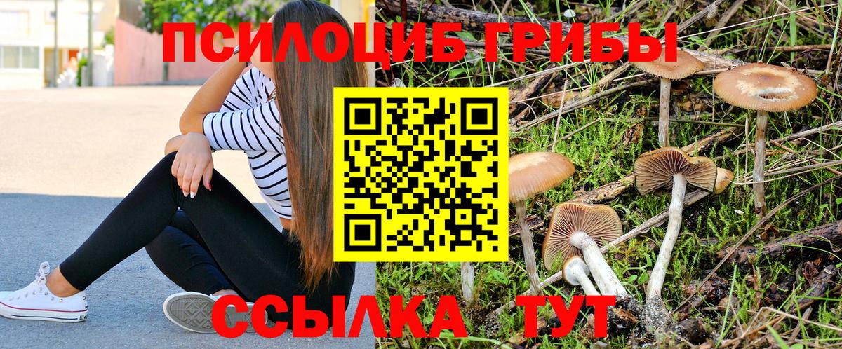 Галлюциногенные грибы GOLDEN TEACHER  Псилоцибиновые грибы GOLDEN TEACHER  Вход с VPN  купить наркотики сайты  Артём 