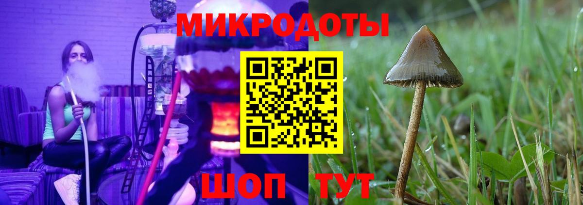 Псилоцибиновые грибы Psilocybine cubensis Артём